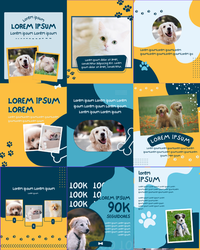 Pack Completo Veterinária