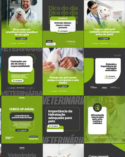 Stories Veterinária